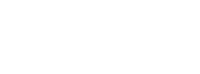 RaceChip