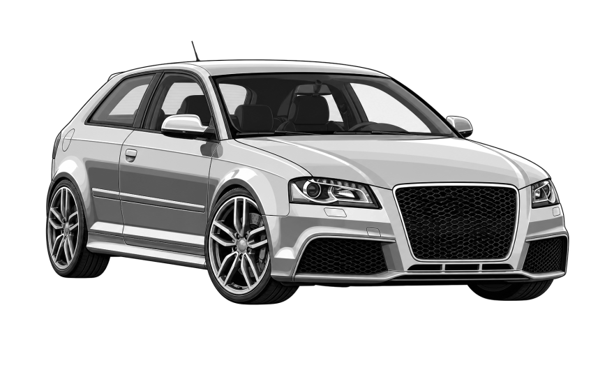 Audi RS3 (8P) (2004 - 2013) Audi RS3 (8P) 2.5 TFSI RS