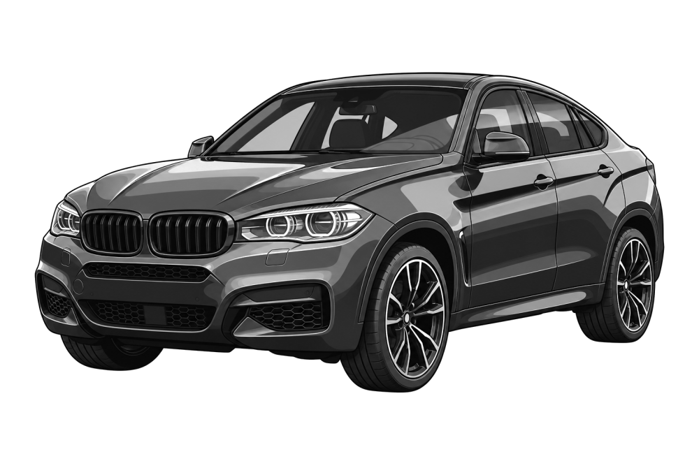BMW X6 (F16) (2014 - 2019) ActiveHybrid (408 HP / 300 kW) RaceChip