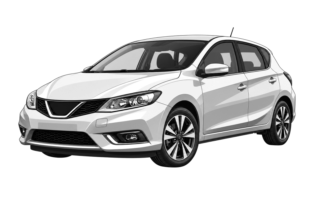 Nissan Pulsar (N17) (από 2012) 1.5 dCi (110 HP / 81 kW) RaceChip