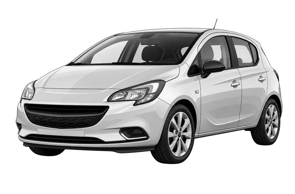 Opel Corsa (E) (2014 - 2019) 1.3 CDTI (75 HP / 55 kW) RaceChip