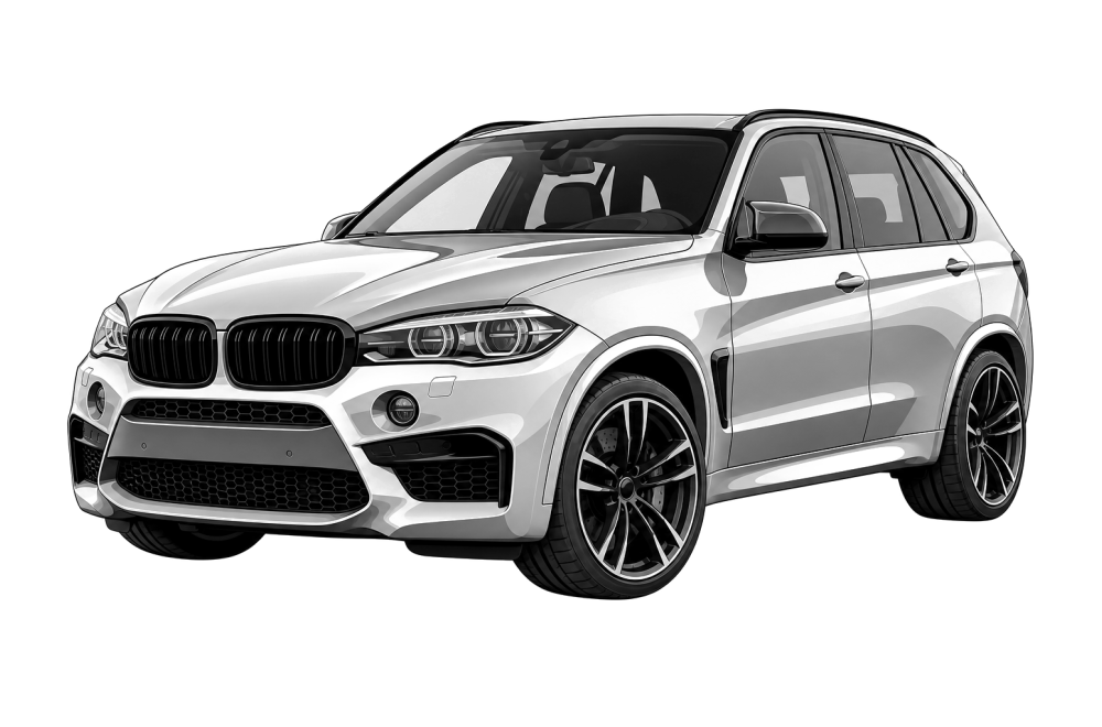 BMW X5 M (F85) (2013 - 2020) X5 M 4.4 (575 HP / 423 kW) RaceChip