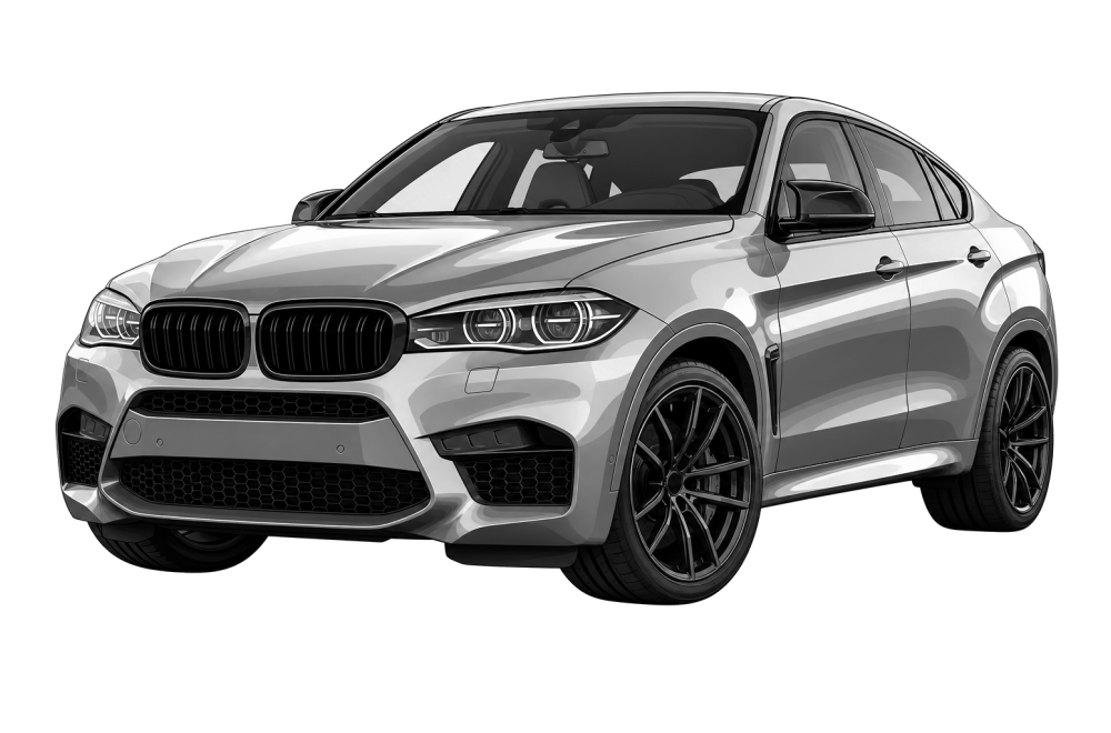 BMW X6 M (F86) (2014 - 2019) X6 M 4.4 (575 HP / 423 kW) RaceChip