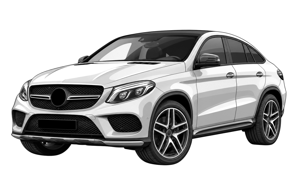 Mercedes-Benz GLE Coupe (C292) (2015 - 2019) GLE Coupe 450 AMG (367 HP / 270 kW) RaceChip
