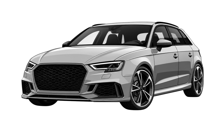 Audi RS3 (8V) (2012 - 2021) Audi RS3 (8V) 2.5 TFSI RS