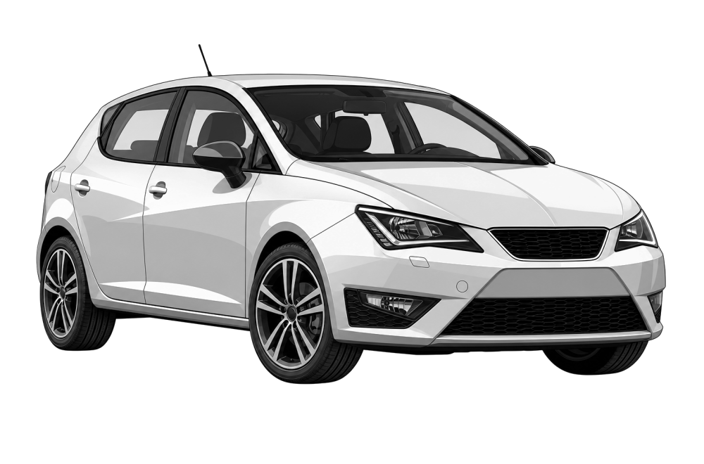Seat Ibiza (6P) (2010 - 2017) 1.0 TSI (95 HP / 70 kW) RaceChip