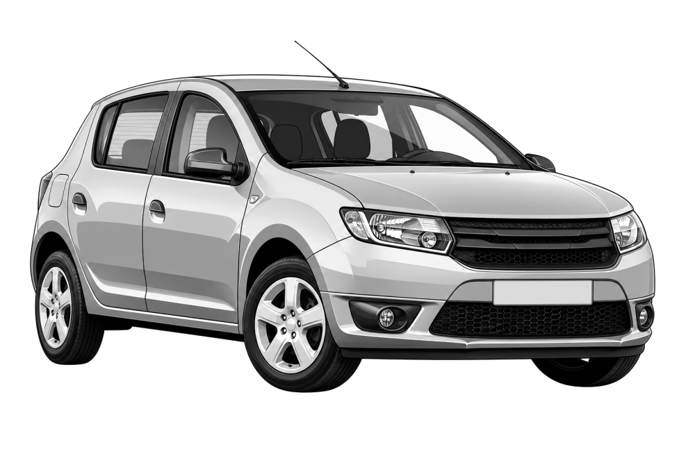 Dacia Sandero (II) (από 2012) 1.2 16V (73 HP / 54 kW) RaceChip