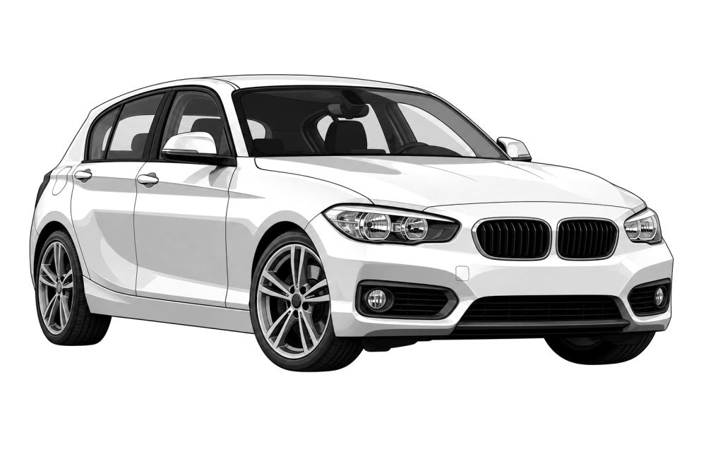 BMW 1 Series (F20-21) (2010 - 2019) 114d (95 HP / 70 kW / 1496 ccm) RaceChip