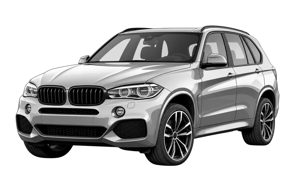 BMW X5 (F15) (2012 - 2019) 25d (211 HP / 155 kW) RaceChip