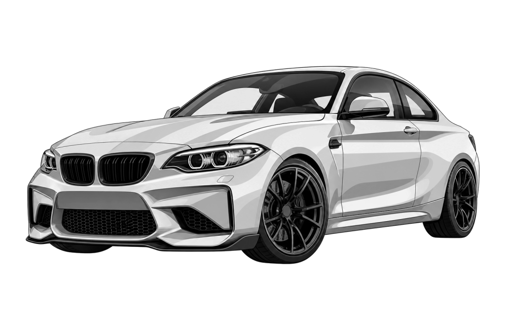 BMW M2 (F87) (από 2012) M2 Competition (411 HP / 302 kW) RaceChip