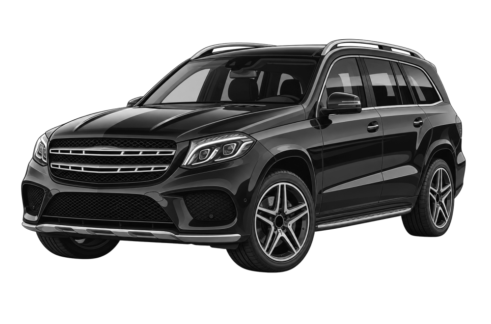 Mercedes-Benz GLS (X166) (2015 - 2019) GLS 63 AMG (585 HP / 430 kW) RaceChip