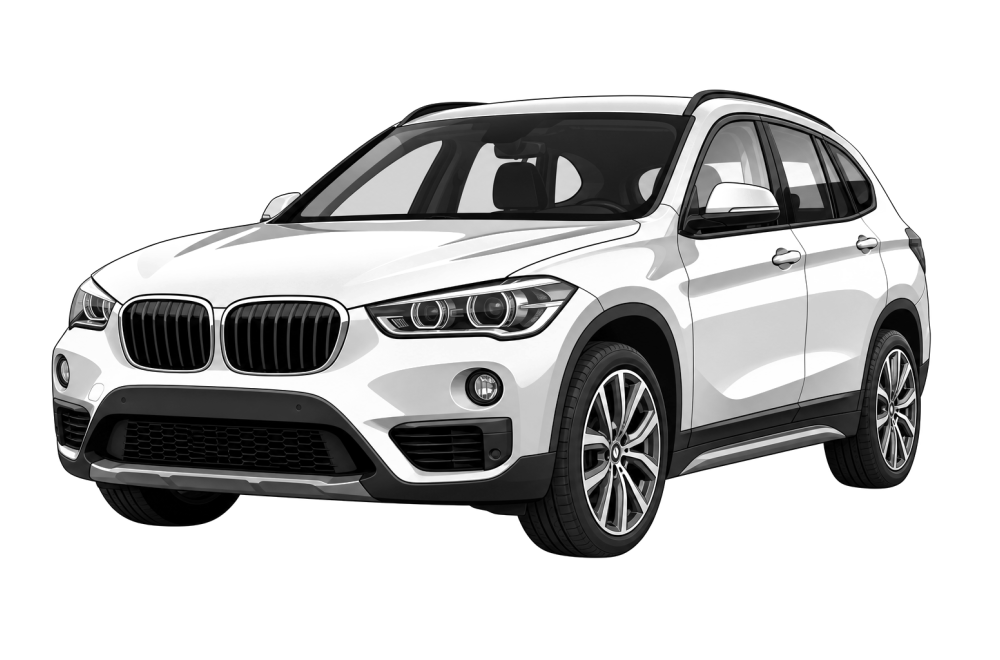 BMW X1 (F48) (από 2014) 20d (190 HP / 140 kW) RaceChip