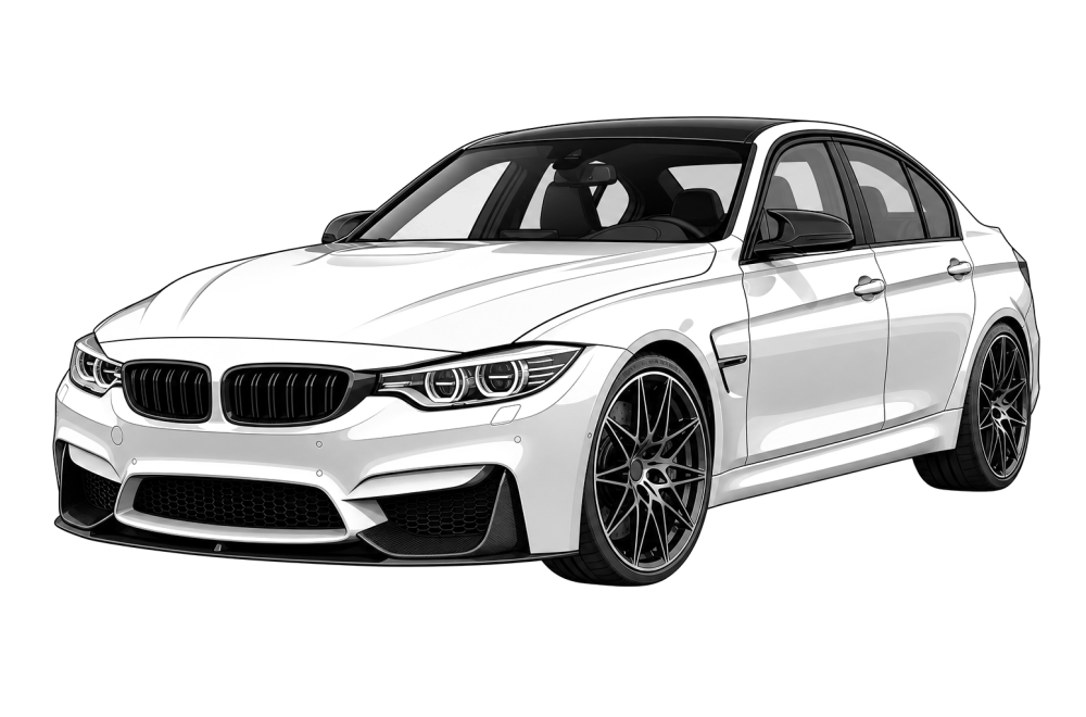 BMW M3 (F80) (2014 - 2020) M3 3.0 TwinPower (431 HP / 317 kW) RaceChip