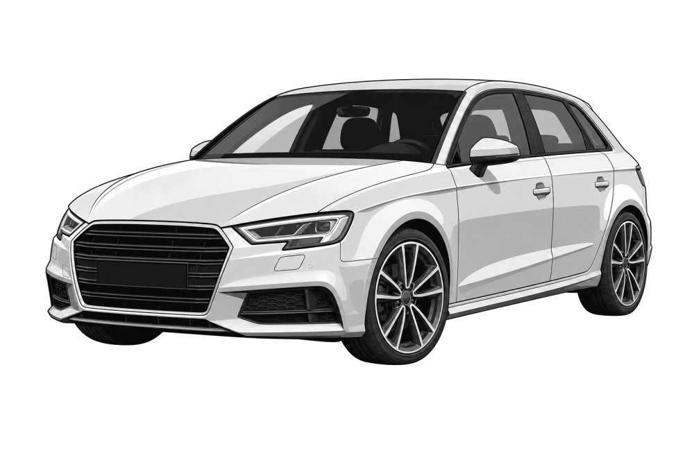 Audi A3 (8V) (2012 - 2020) 2.0 TDI (150 HP / 110 kW) RaceChip