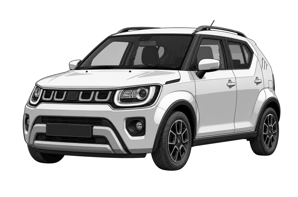 Suzuki Ignis (MF/FF01) (από 2016) 1.2 MHEV (90 HP / 66 kW) RaceChip