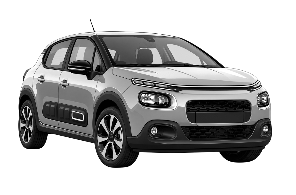 Citroën C3 III (SX) (2016 - 2024) 1.5 BlueHDi 100 (102 HP / 75 kW) RaceChip