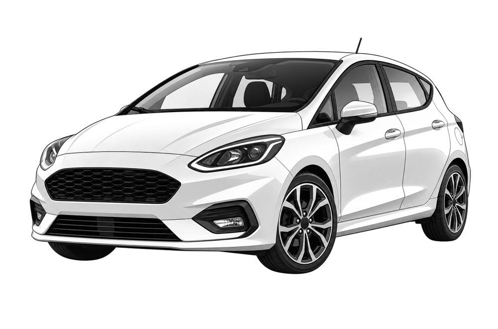 Ford Fiesta VIII (από 2017) 1.0 EcoBoost (95 HP / 70 kW) RaceChip