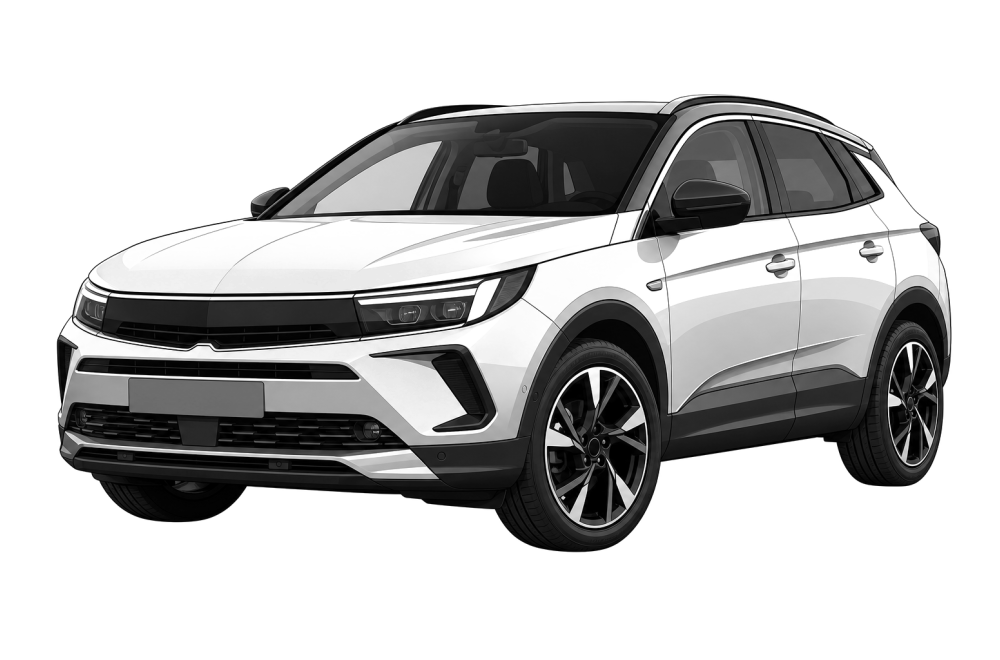 Opel Grandland x (75) (2017 - 2024) 1.2 (131 HP / 96 kW) RaceChip