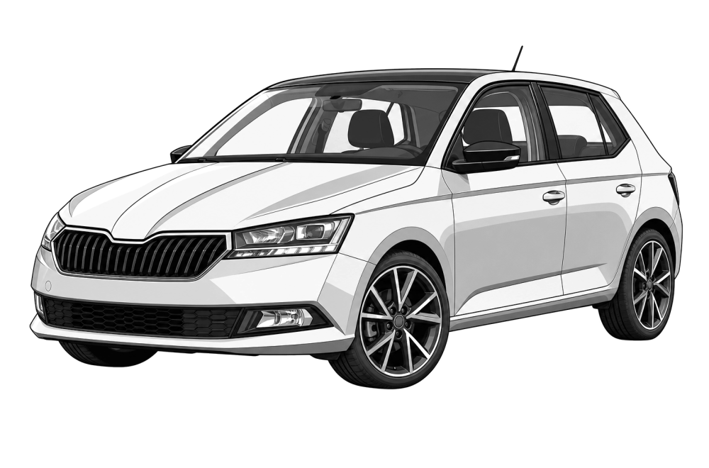Skoda Fabia (NJ) (2014 - 2021) 1.4 TSI Edition R5 (125 HP / 92 kW) RaceChip