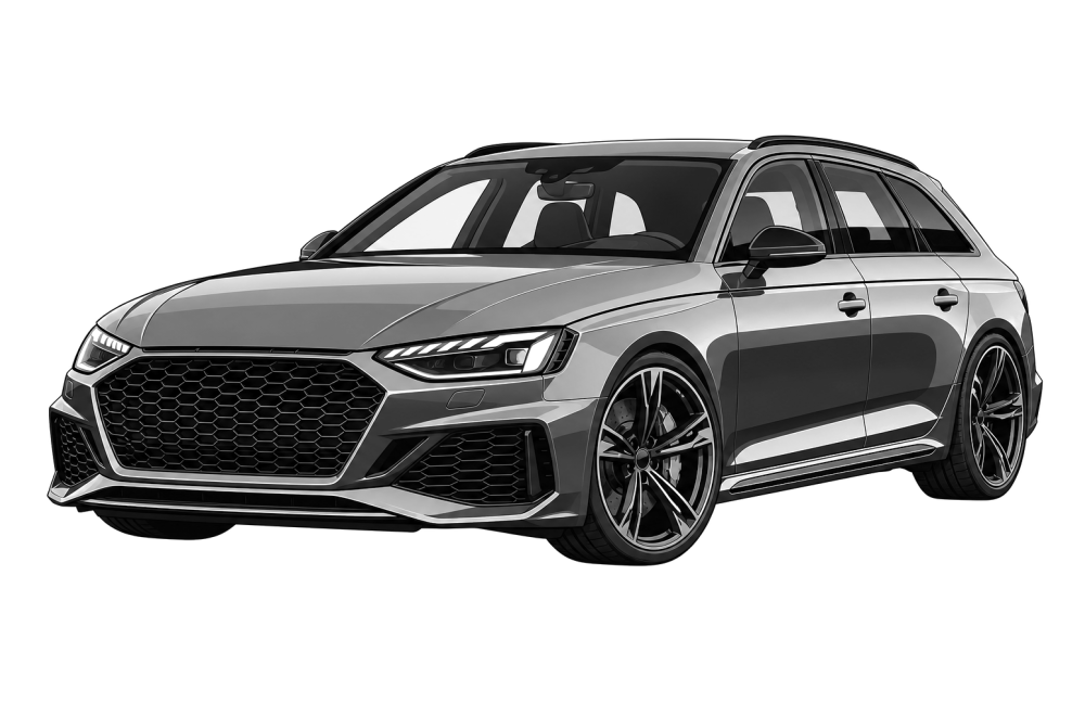 Audi RS4 (B9) (από 2017) RS4 2.9T (450 HP / 331 kW) RaceChip