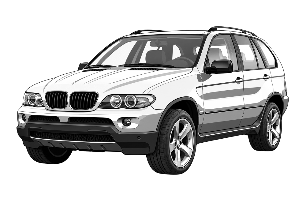 BMW X5 (E53) (2000 - 2007) 30d (184 HP / 135 kW) RaceChip