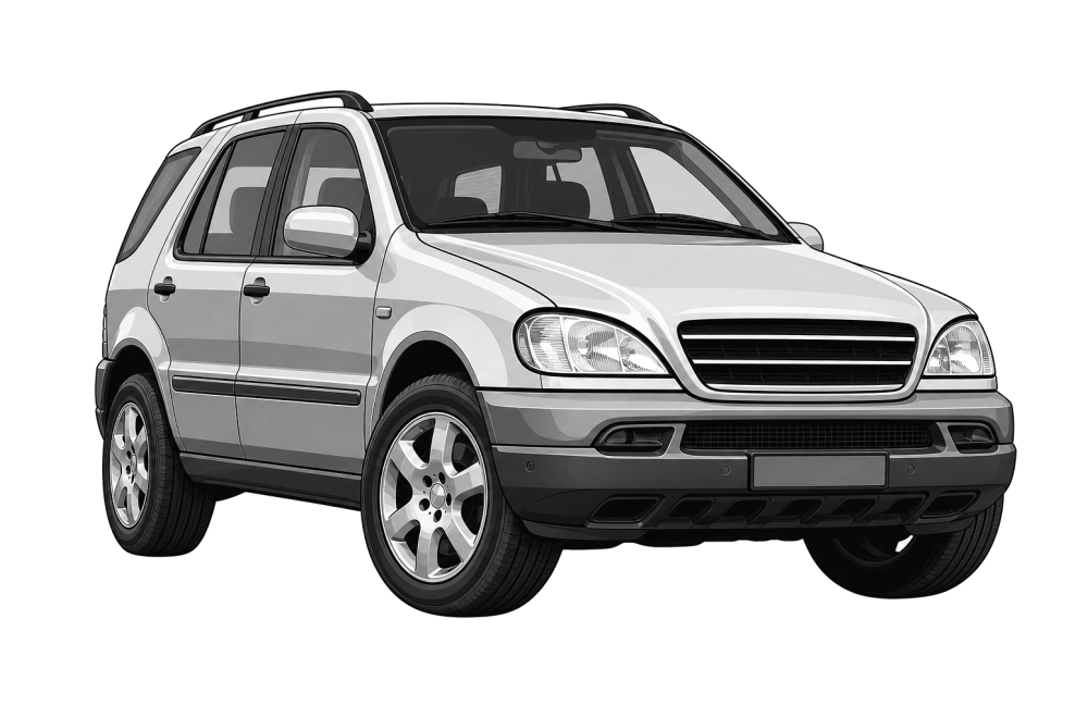 Mercedes-Benz M-Class (W163) (1998 - 2005) ML 270 CDI (163 HP / 120 kW) RaceChip