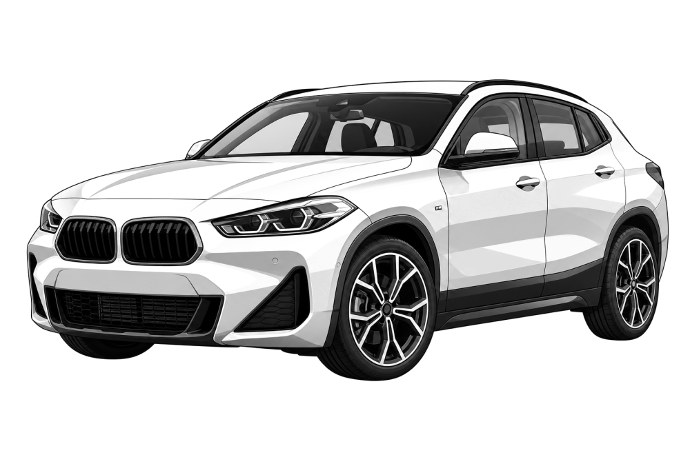 BMW X2 (F39) (2017 - 2023) 16d (116 HP / 85 kW) RaceChip