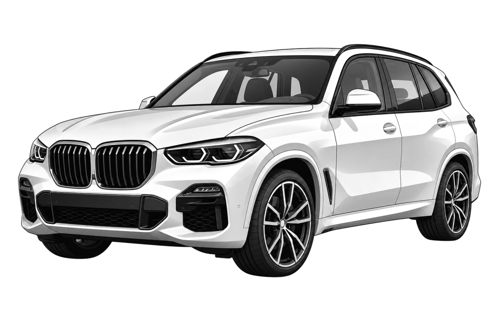 BMW X5 (G05) (από 2018) 30d (265 HP / 195 kW) RaceChip