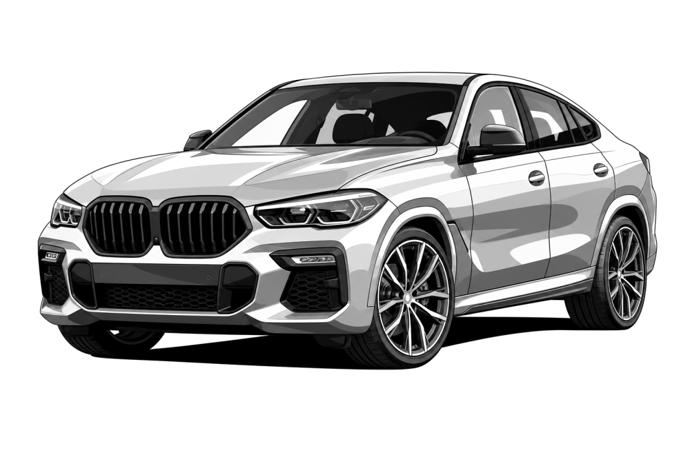 BMW X6 (G06) (από 2019) 40 i Mild-Hybrid (333 HP / 245 kW) RaceChip