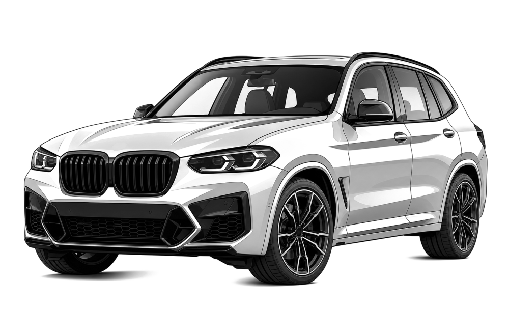 BMW X3 (G01) (2017 - 2024) 18d (150 HP / 110 kW) RaceChip
