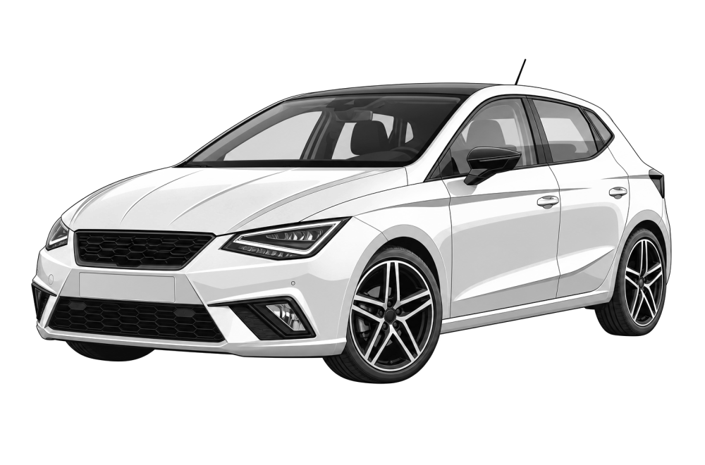 Seat Ibiza (6F) (από 2017) 1.0 TSI (2017-2021) (95 HP / 70 kW) RaceChip