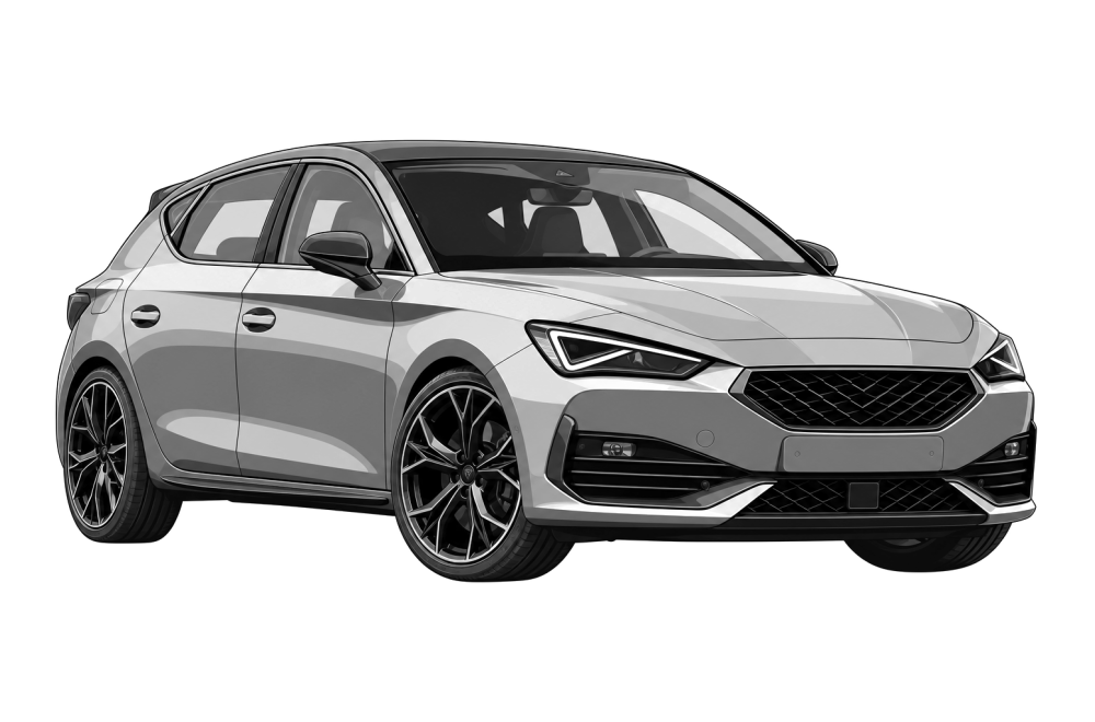 Cupra Leon (2020 - 2024) 2.0 TSI (300 HP / 221 kW) RaceChip