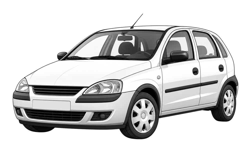 Opel Corsa (C) (2000 - 2009) 1.4 Twinport (90 HP / 66 kW) RaceChip