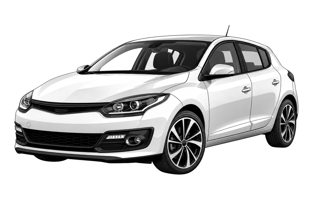 Renault Megane III (2010 - 2016) 1.5 dCi (86 HP / 63 kW) RaceChip