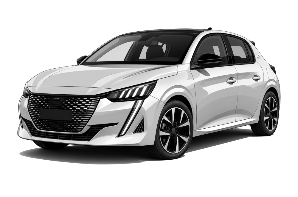 Peugeot 208 II (από 2019) 1.2 MHEV (101 HP / 74 kW) RaceChip
