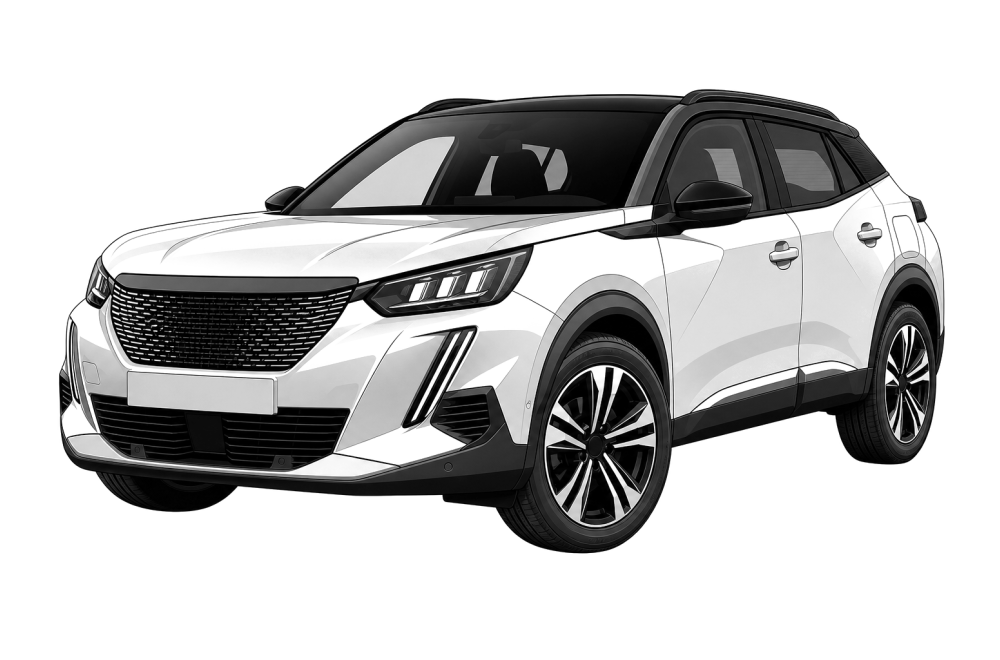 Peugeot 2008 II (από 2019) 1.2 PureTech 130 (131 HP / 96 kW) RaceChip