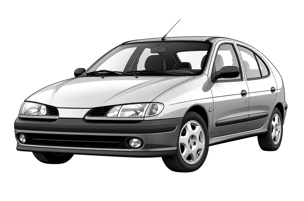 Renault Megane I (1995 - 2004) 1.9 dCi (102 HP / 75 kW) RaceChip