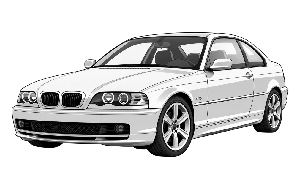BMW 3 Series (E46) (1998 - 2005) 316i (105 HP / 77 kW) RaceChip