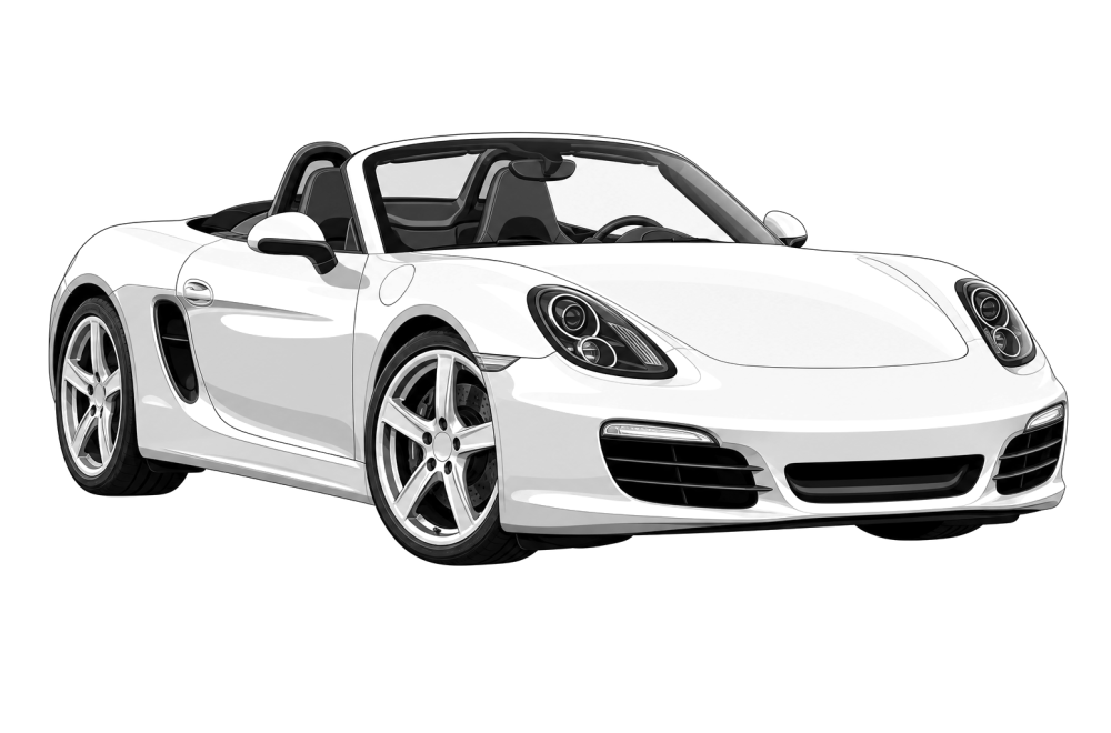 Porsche Boxster (981) (2012 - 2016) Spyder (375 HP / 276 kW) RaceChip