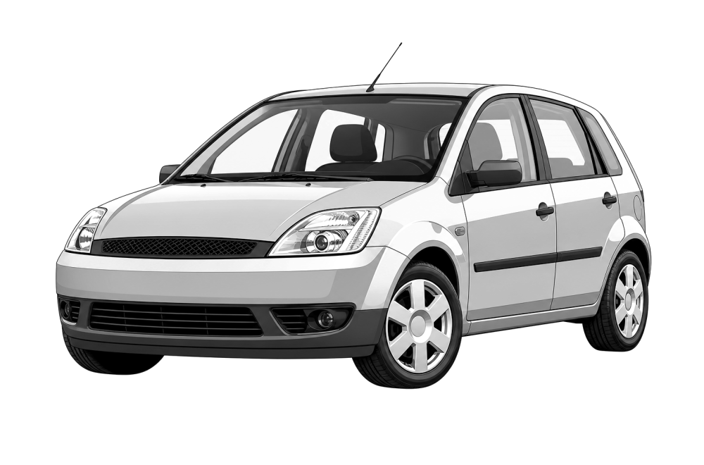 Ford Fiesta '02/'06 (JH1, JD3) (2001 - 2010) 1.4 TDCi (68 HP / 50 kW) RaceChip