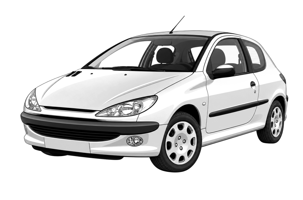 Peugeot 206 (1998 - 2012) 2.0 HDi 90 (90 HP / 66 kW) RaceChip