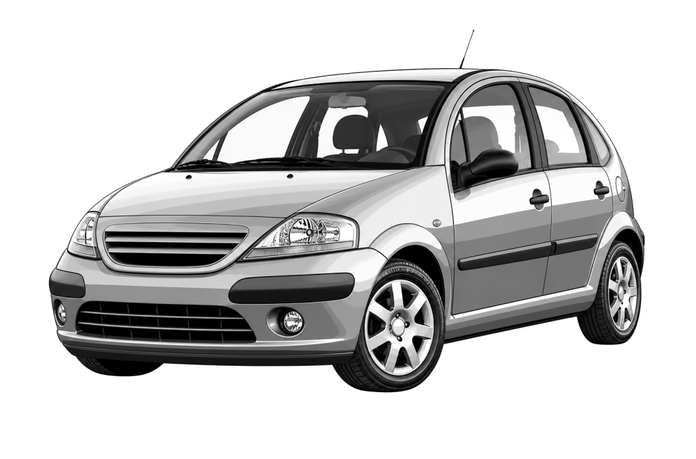 Citroën C3 (I) (2002 - 2009) 1.4 16V HDi (90 HP / 66 kW) RaceChip