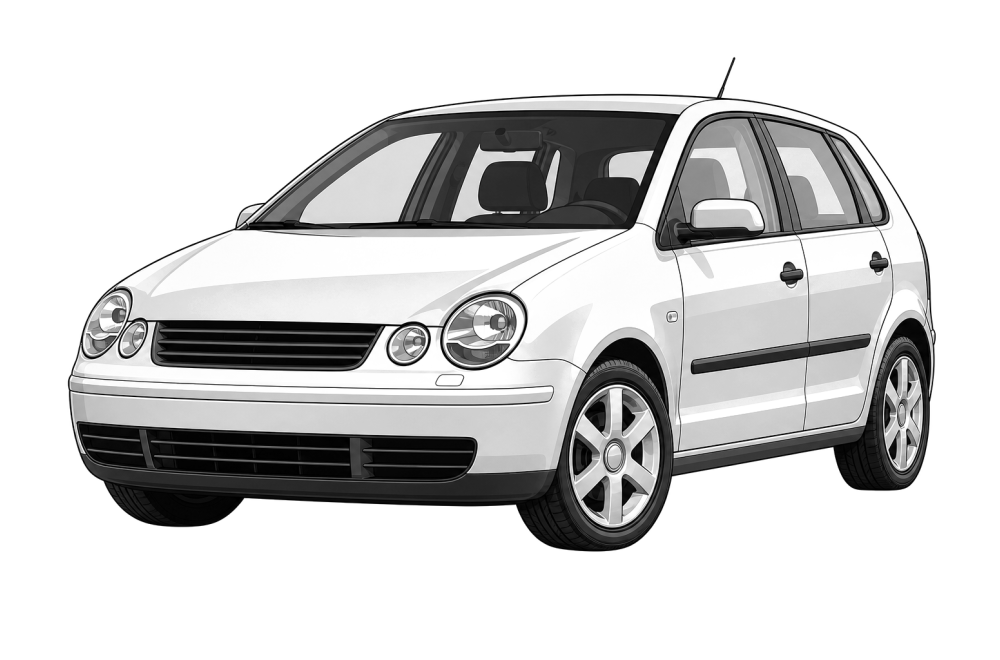 VW Polo IV (9N, 9A) (2001 - 2012) 1.4 (75 HP / 55 kW) RaceChip