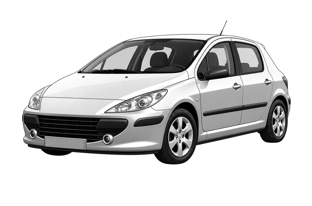 Peugeot 307 (2000 - 2009) 1.4 HDi 70 (68 HP / 50 kW) RaceChip