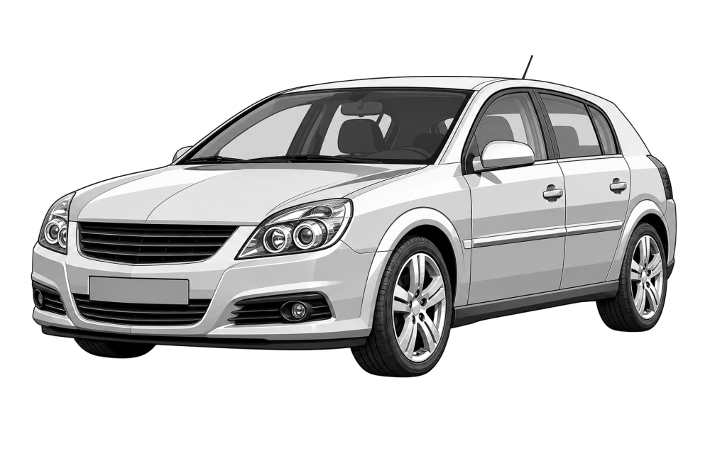 Opel Signum (2003 - 2008) 1.9 CdTi (120 HP / 88 kW) RaceChip