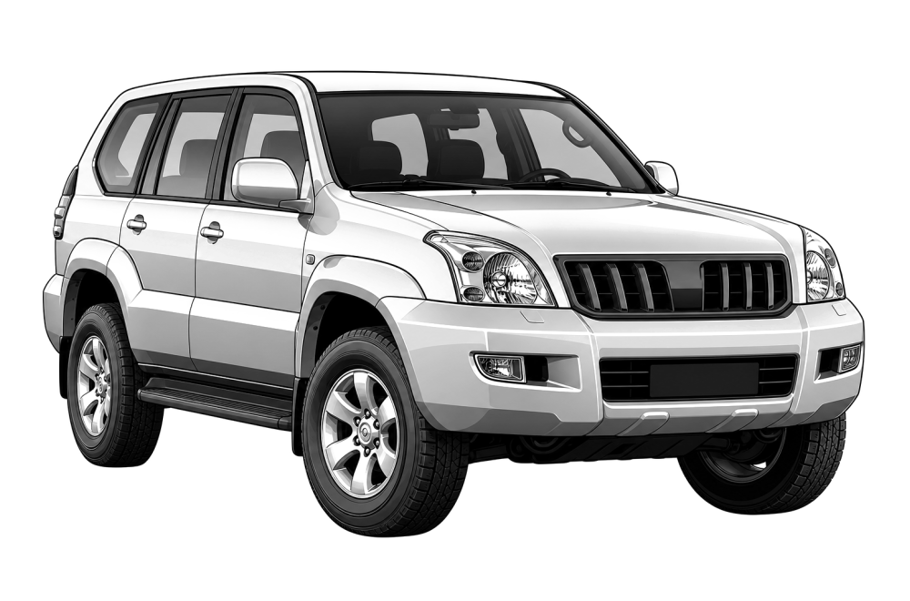 Toyota Land Cruiser (J120) Prado (2002 - 2009) 3.0 D-4D (166 HP / 122 kW) RaceChip