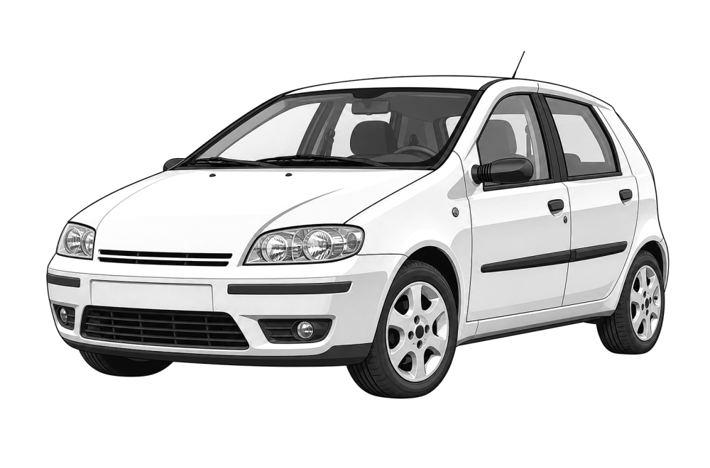 Fiat Punto (188) (1999 - 2012) 1.3 JTD 16V (70 HP / 51 kW) RaceChip