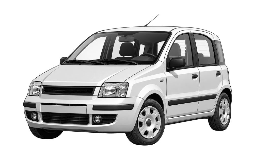 Fiat Panda (169) (2003 - 2012) 1.3 D Multijet (70 HP / 51 kW) RaceChip