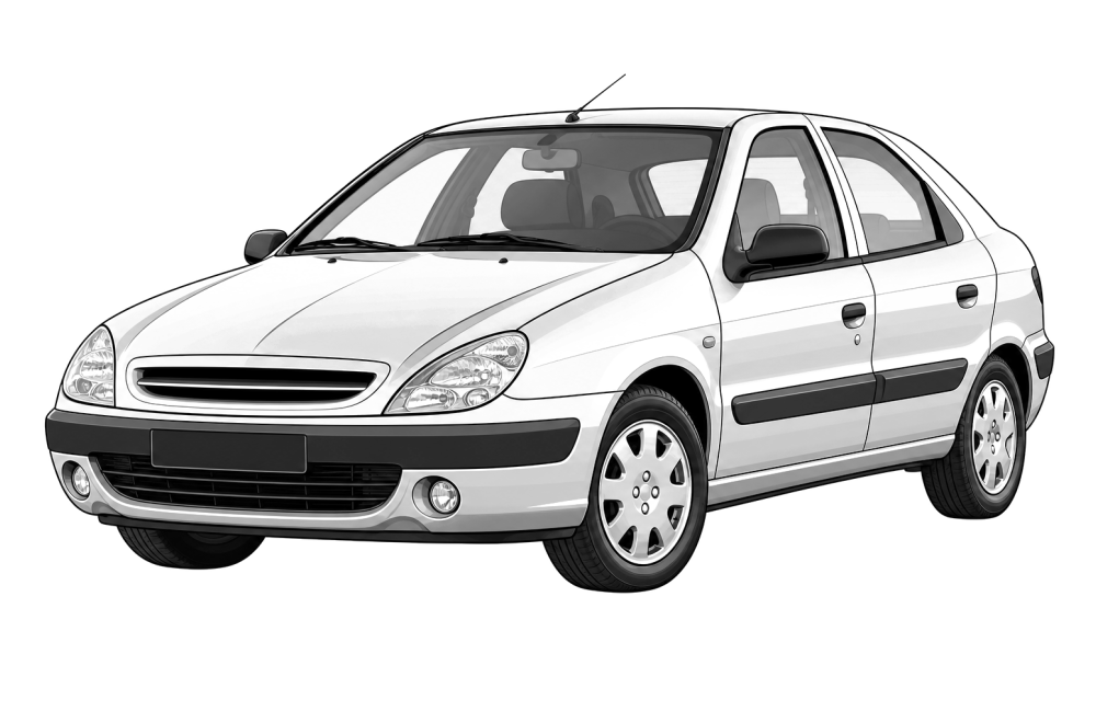 Citroën Xsara (N1-2) (1997 - 2005) 2.0 HDi 90 (90 HP / 66 kW) RaceChip