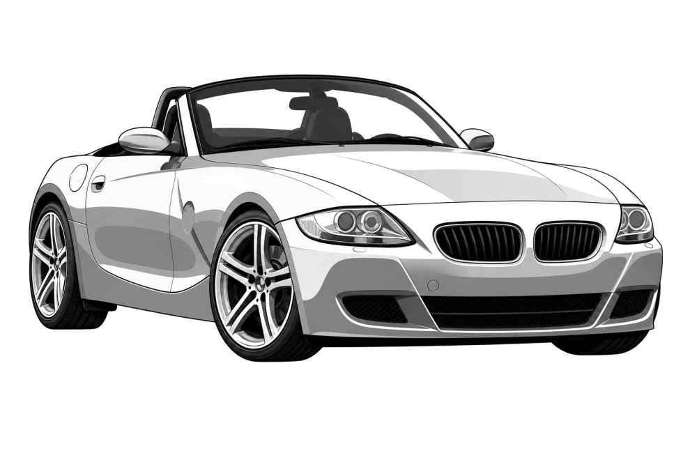 BMW Z4 (E85-86) (2003 - 2009) M Coupé (343 HP / 252 kW) RaceChip